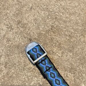 Chaco Belt